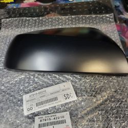Rav4 Passenger Mirror Cover