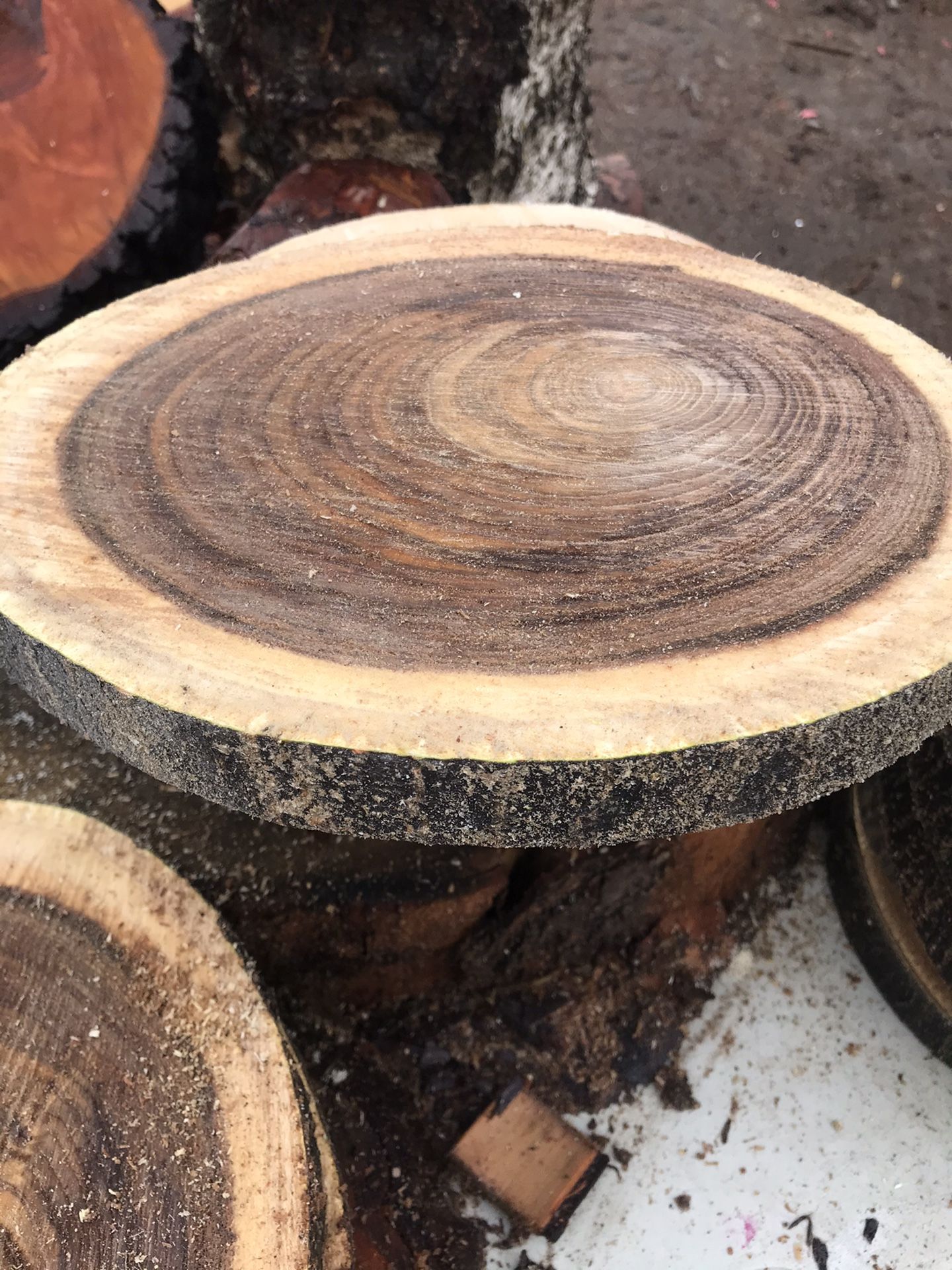wood rounds 10”