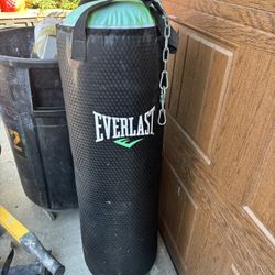 Punching Bag