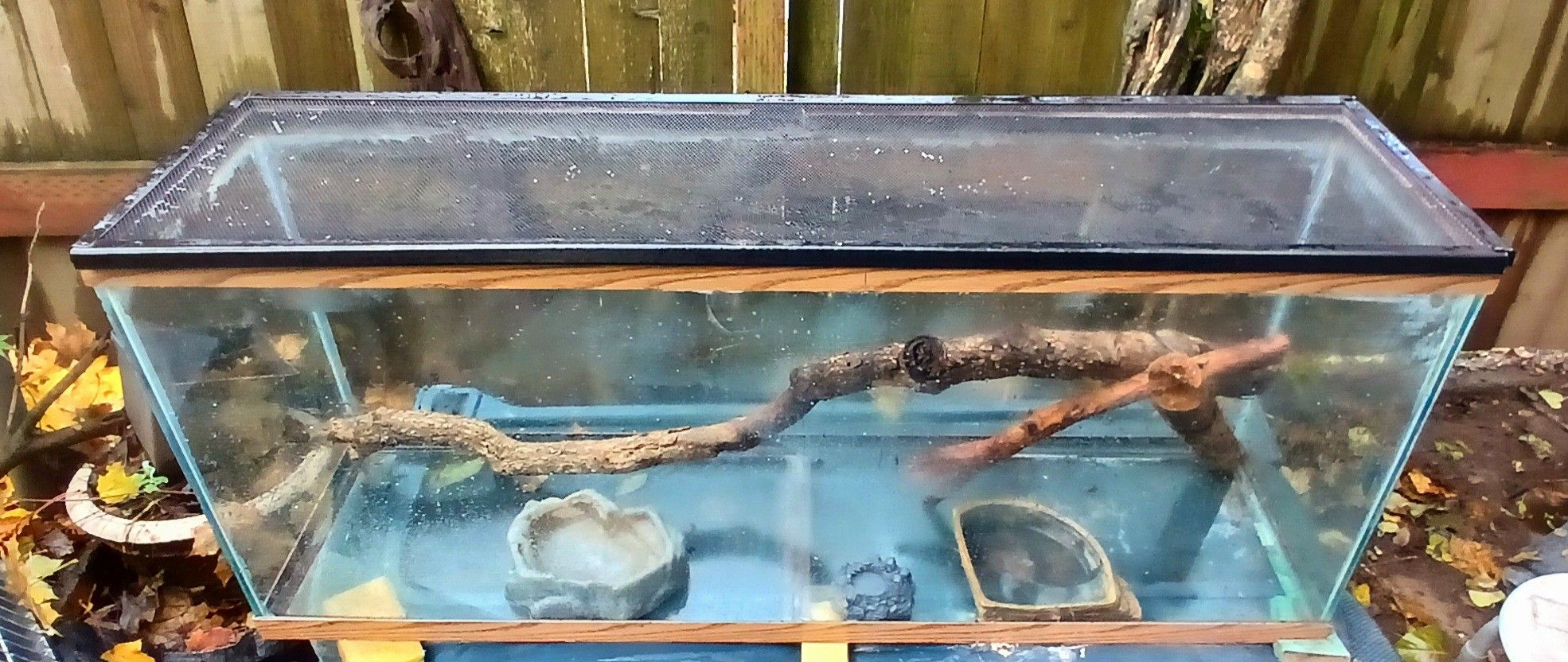 Furnished 55 Gallon Aquarium