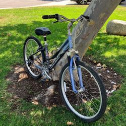 Giant Sedona Size 14 Frame 26” Tires