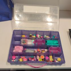 Shopkins And Case! 