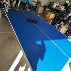 Ping Pong Table