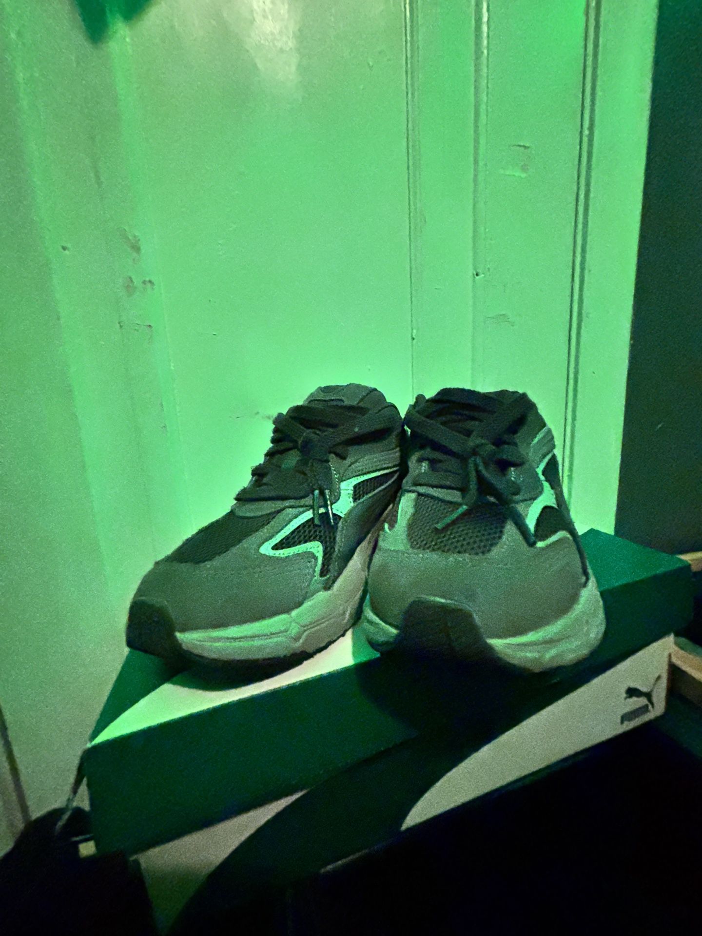 Grey Pumas