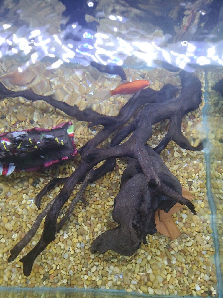 aquarium drift wood 
