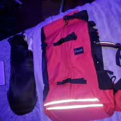 Cityork Dog Back Pack Size LG.