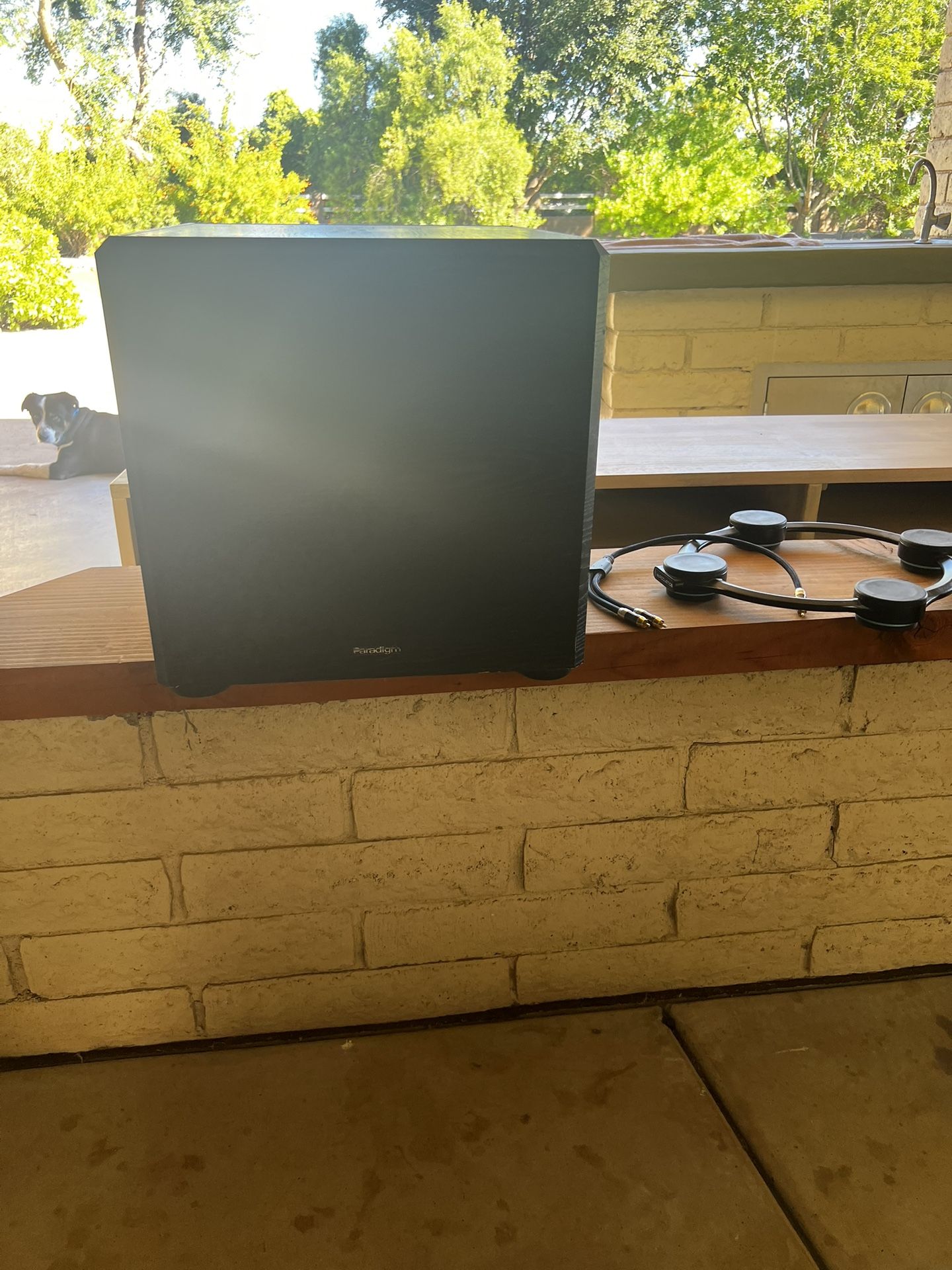 Paradigm PS-1000 Powered Subwoofer