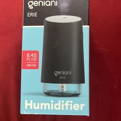 Geniani Portable Small Cool Mist Humidifier