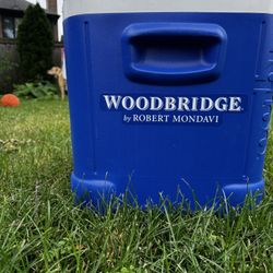 Igloo Ice Cube Wine Cooler