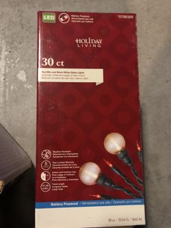30 count lights-battery operated