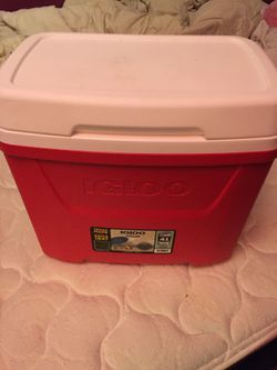 Igloo cooler