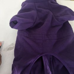 Purple Dog Sweaters 