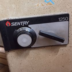 Sentry Fire Proof Safe
