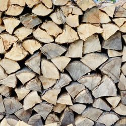 Dry Firewood
