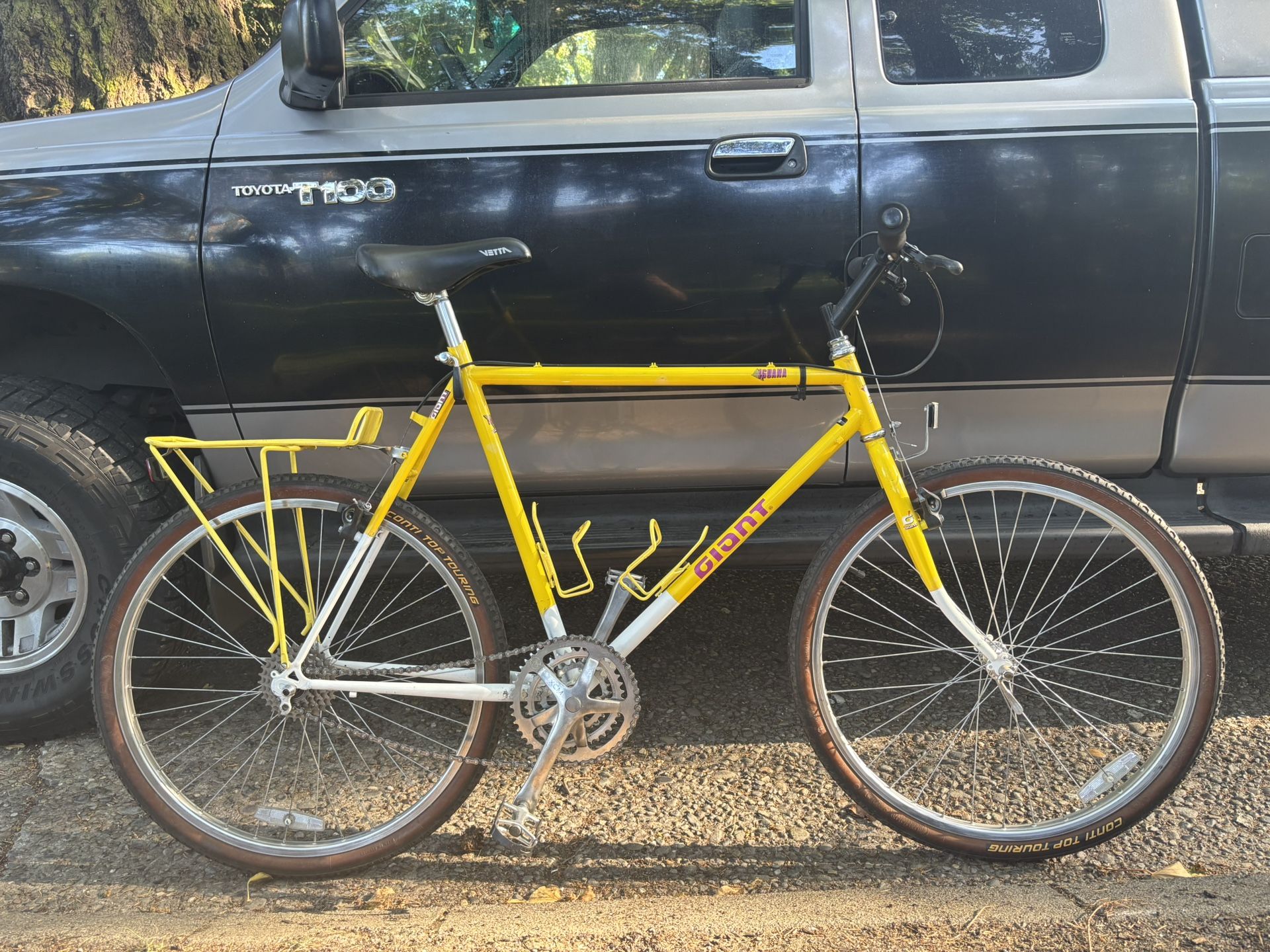 Vintage 1988 Giant Iguana 