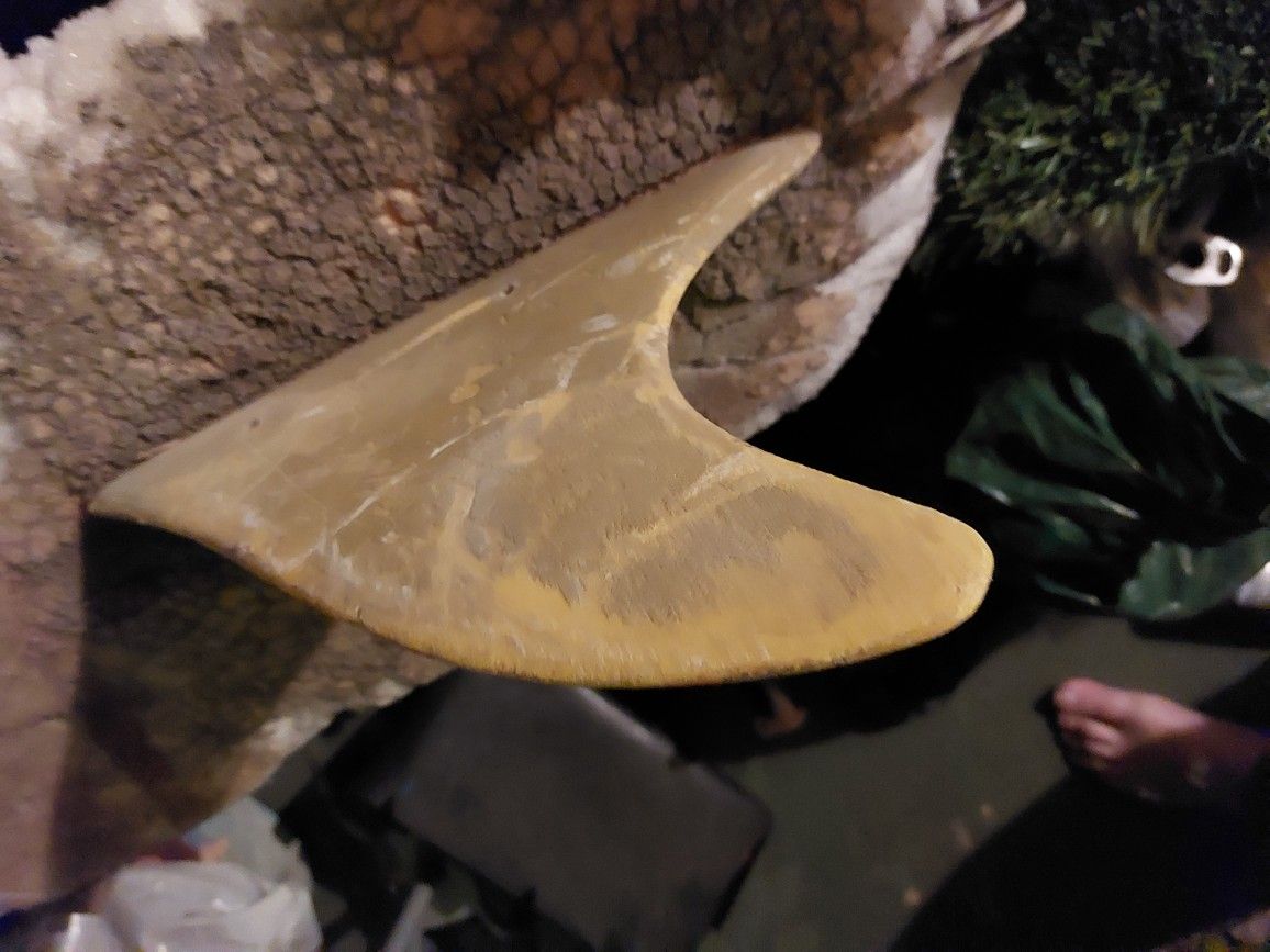 1 Of ,if Not The 1st Surfboards Made By Morey