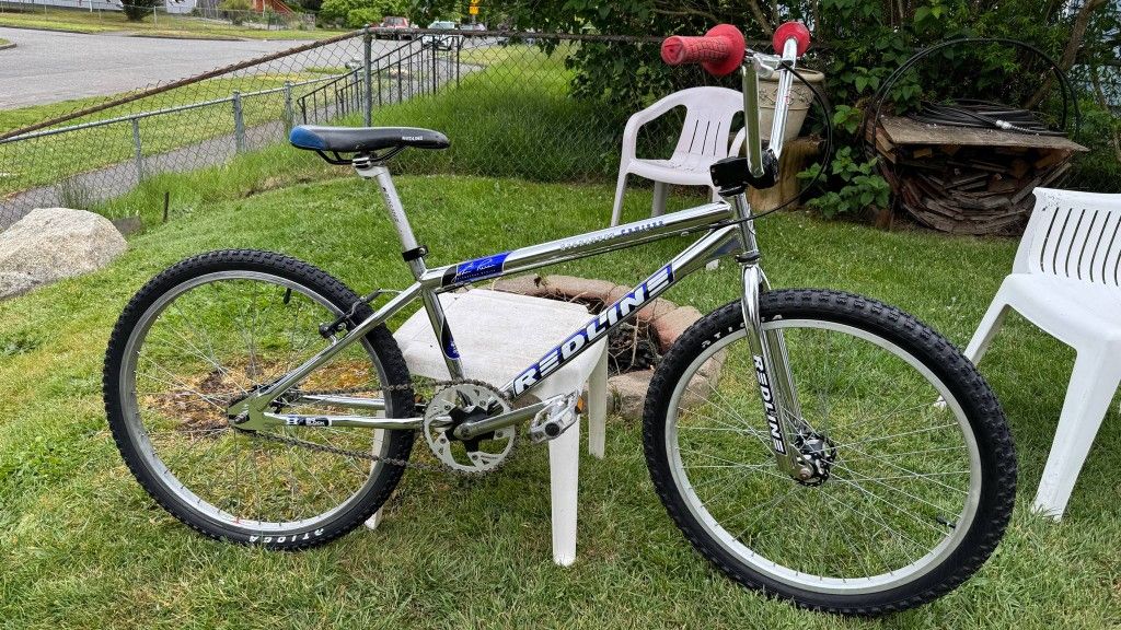 1999 Redline Cruiser BMX