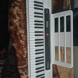Casio Casiotone Keyboard.