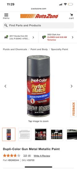 Perfect Match Spray Paint 