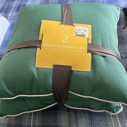 New Indoor/outdoor Pillow