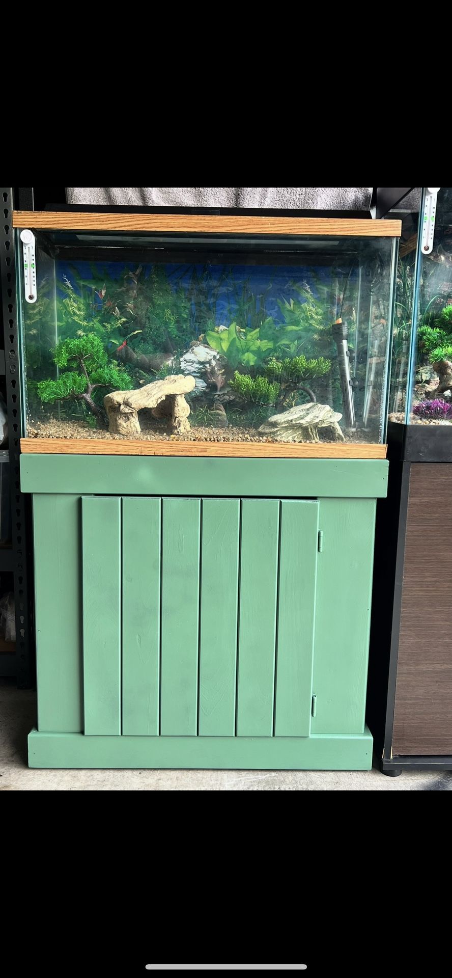 30 Gallon Tank