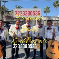 Vihuela Y Mariachi