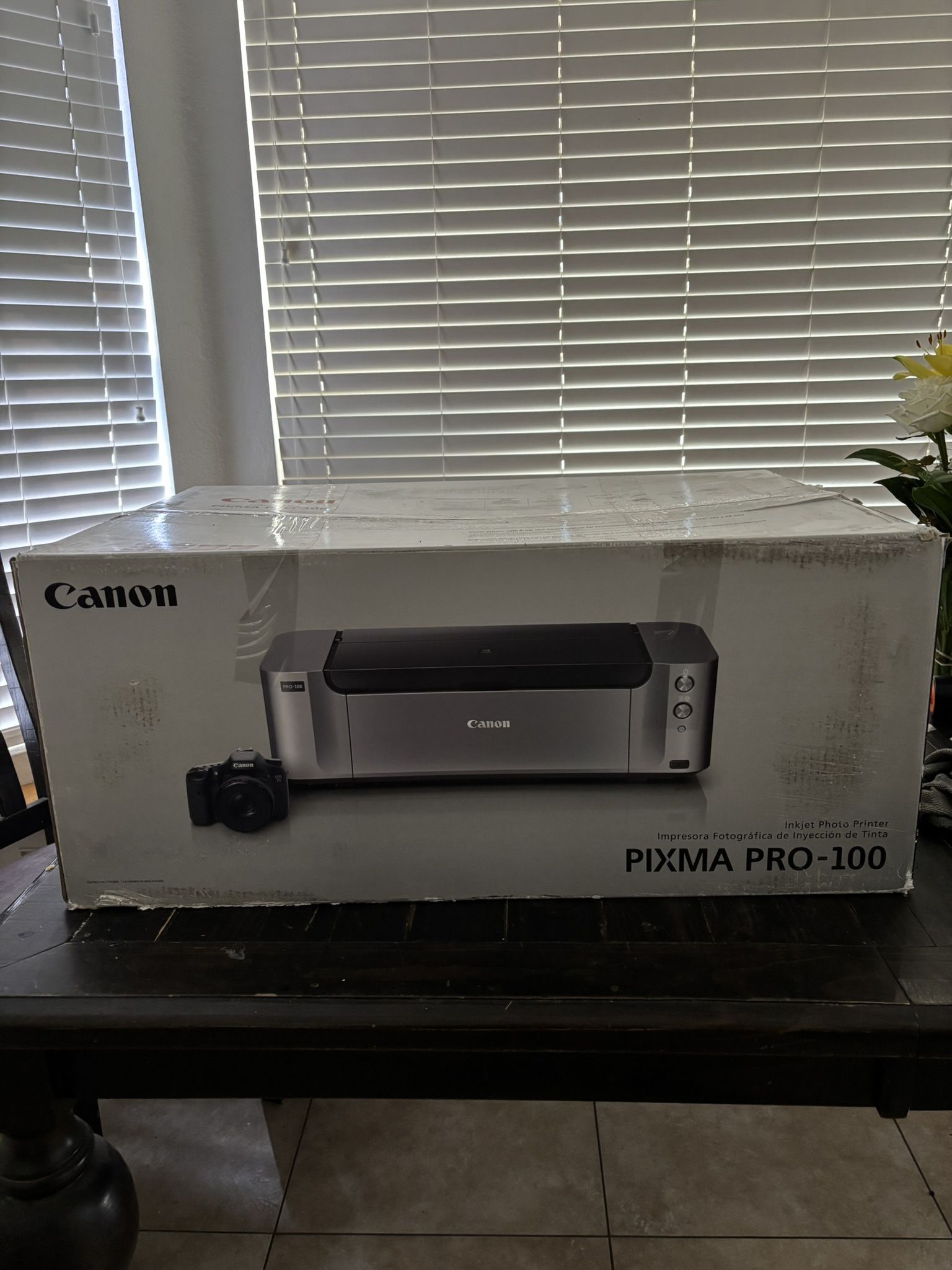 Canon Pixma Pro 100