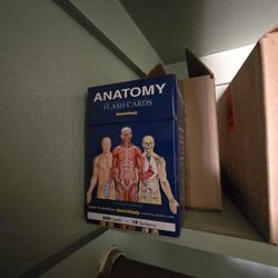 Anatomy Flash Cards