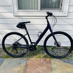 Trek Verve 3 Bike 