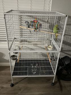 Bird Cage/ Jaula
