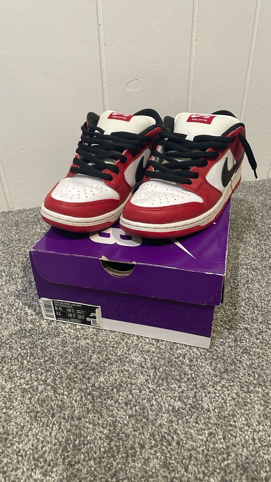 Used Chicago Dunks