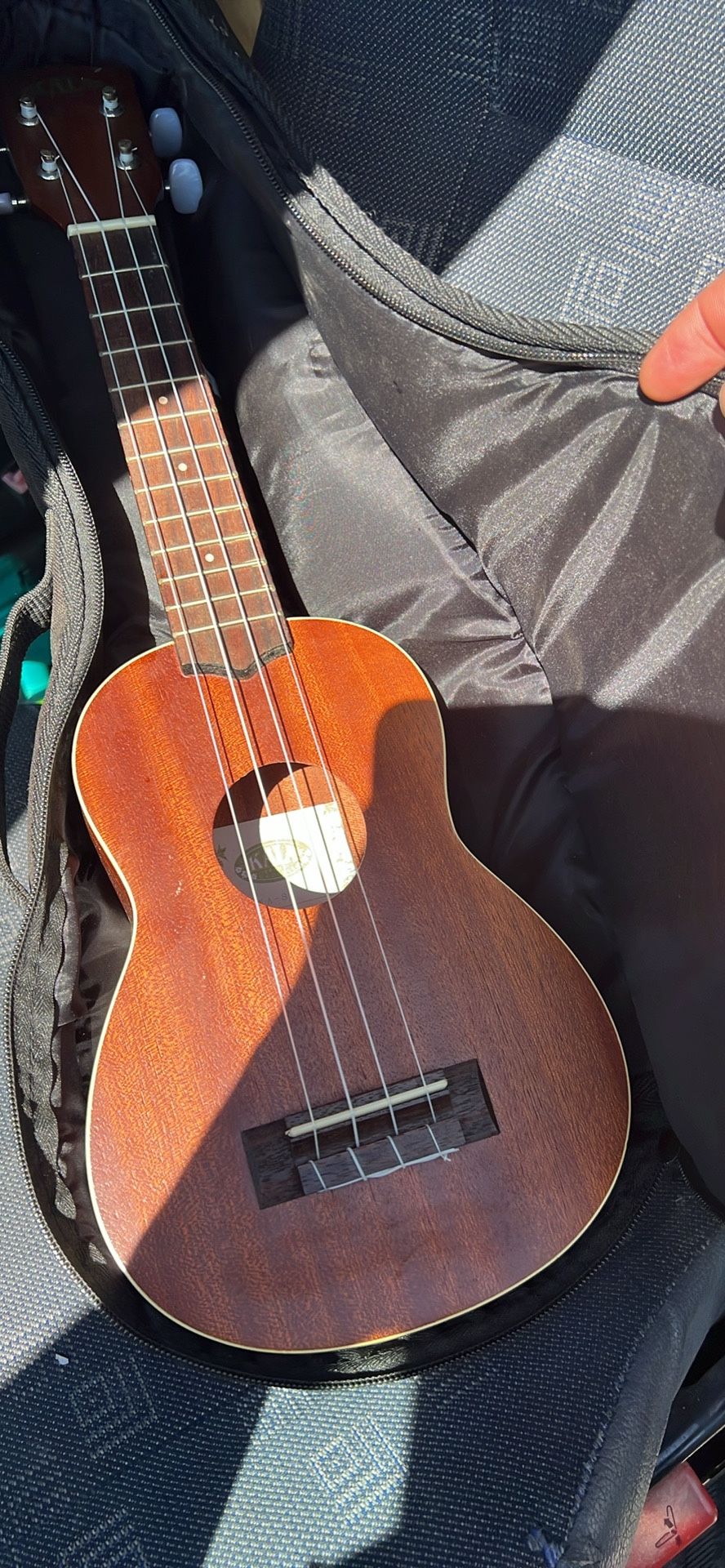 Ukulele