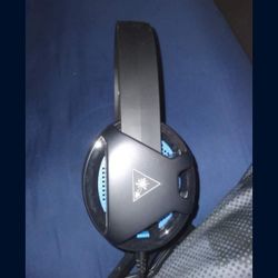 Ps4 Turtle beach Headset & Mic