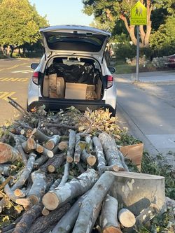 FREE. FREE. FREE. WOIOD  TILL 9/15/23