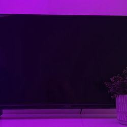 Polaroid LED TV 29in