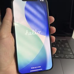 iPhone 12 Pro Max | 256 GB | Unlocked