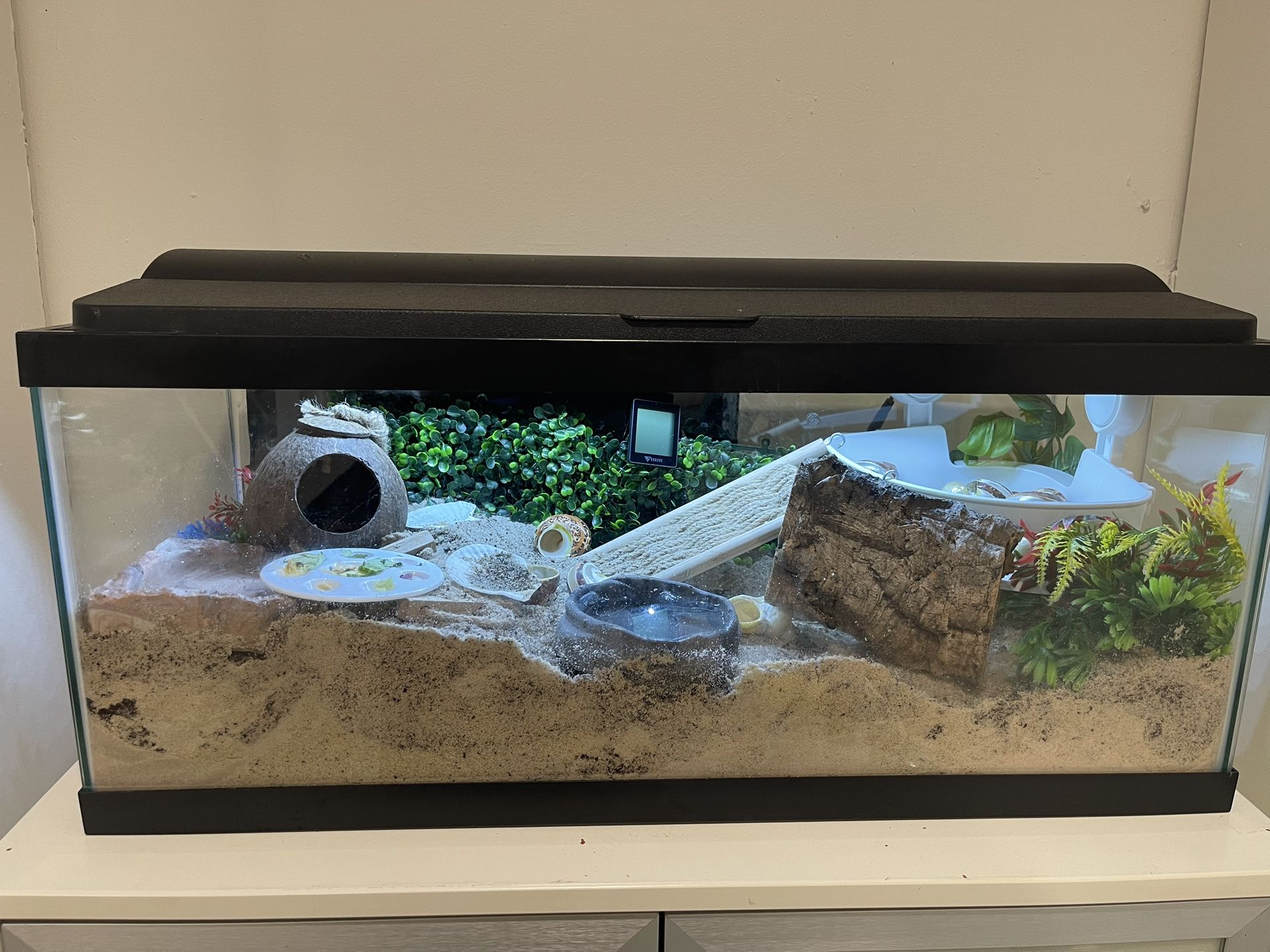 40 Gallon Tank + Reptile Supplies
