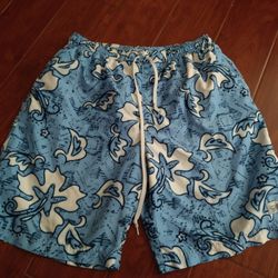 Men Swimming Shorts