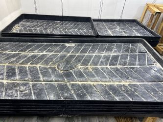 Botanicare Trays