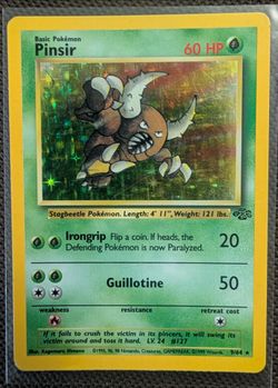 Jungle Pinsir (Holo)