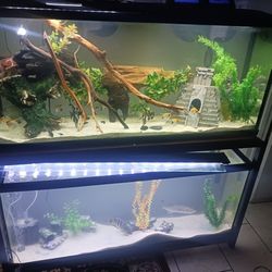 Two Fish Tank  Aquarius  And Stand 