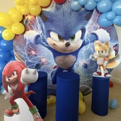 Sonic Party Theme Decorations Details Below