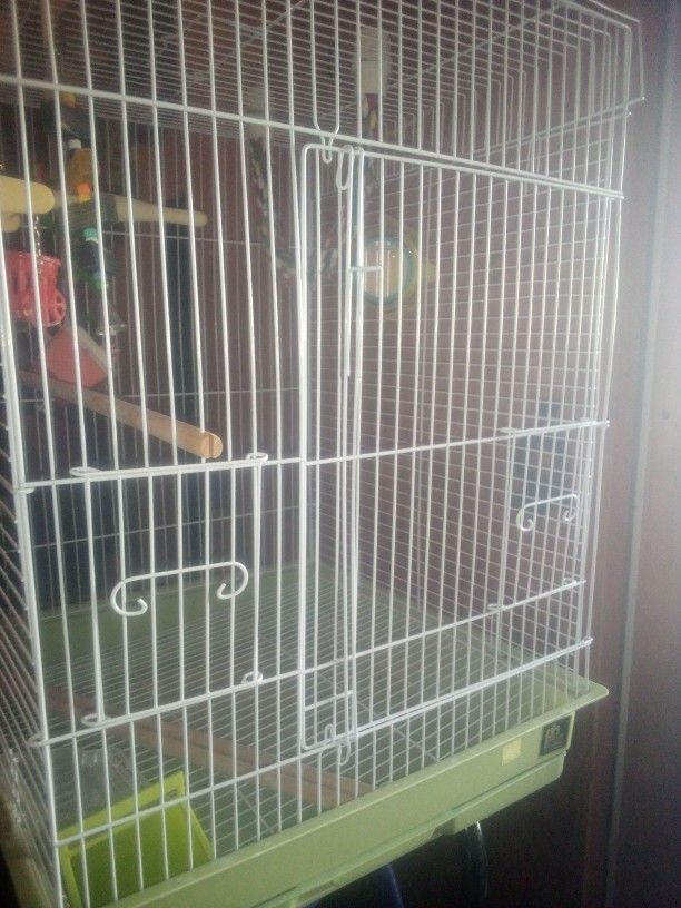 Bird Cage