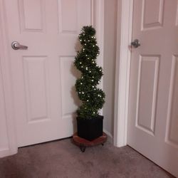 Artificial Plant in a wood base