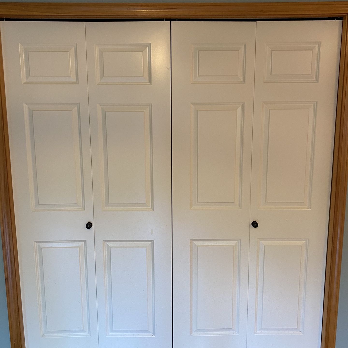 Bifold Raised Panel Doors (6 total)