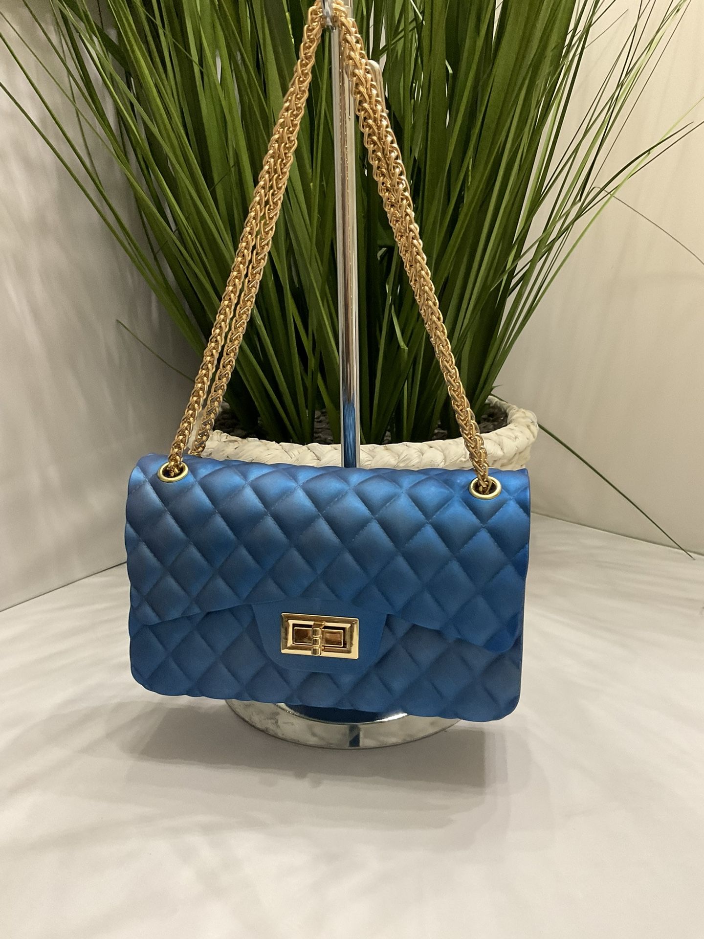 Jelly Bag With gold Chain strap