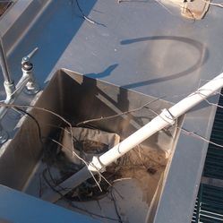 Commercial Sink Rinse