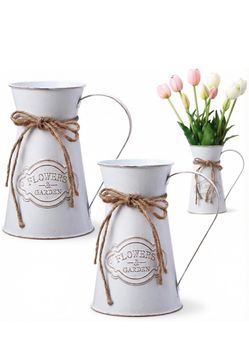 Set 2 pieces Chumia Metal Pitcher Jug Vase for Flower