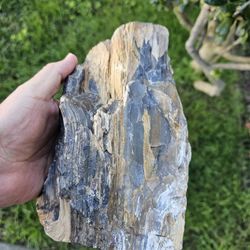 PETRIFIED WOOD, HEAVY SOLID IN NORWALK 
