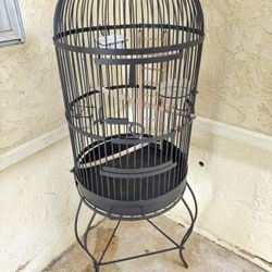 Bird Metal Cage